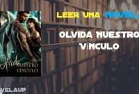 Olvida Nuestro Vínculo Novela