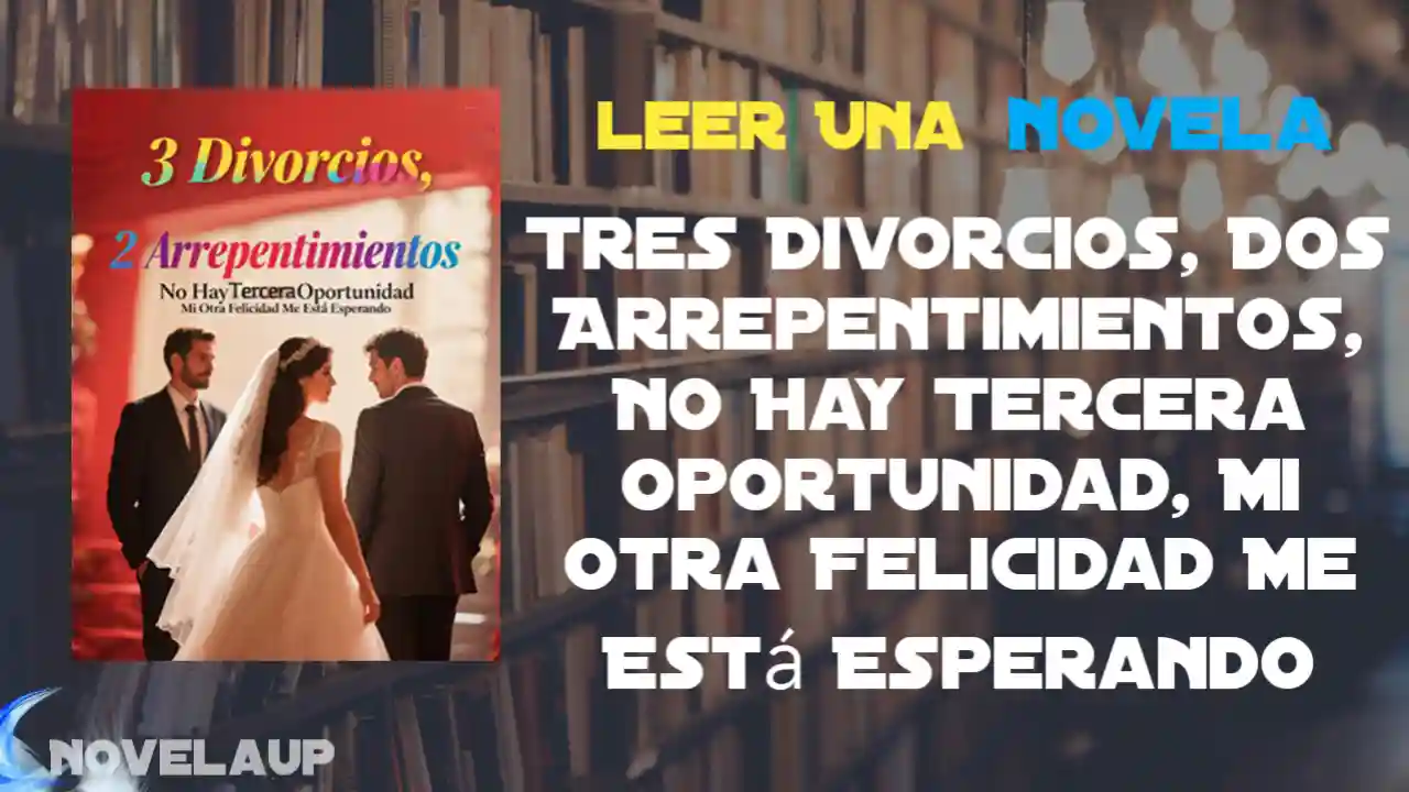 Tres Divorcios, Dos Arrepentimientos, No Hay Tercera Oportunidad, Mi Otra Felicidad Me Está Esperando Novela