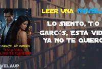 Lo Siento, Tío Garcés, Esta Vida Ya No Te Quiero Novela