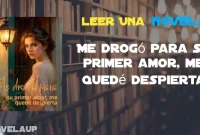 Me drogó para su primer amor, me quedé despierta Novela