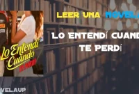 Lo Entendí Cuando te Perdí Novela