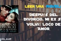 Después del Divorcio, Mi ex Se Volvió Loco de Amor Novela Después del Divorcio, Mi ex Se Volvió Loco de Amor Novela