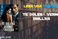 TE DOLERÁ VERME BRILLAR Novela