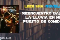 Reencuentro Bajo la Lluvia en mi Puesto de Comida Novela Reencuentro Bajo la Lluvia en mi Puesto de Comida Novela