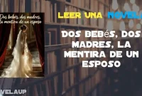 Dos bebés, dos madres, la mentira de un esposo Novela Dos bebés, dos madres, la mentira de un esposo Novela
